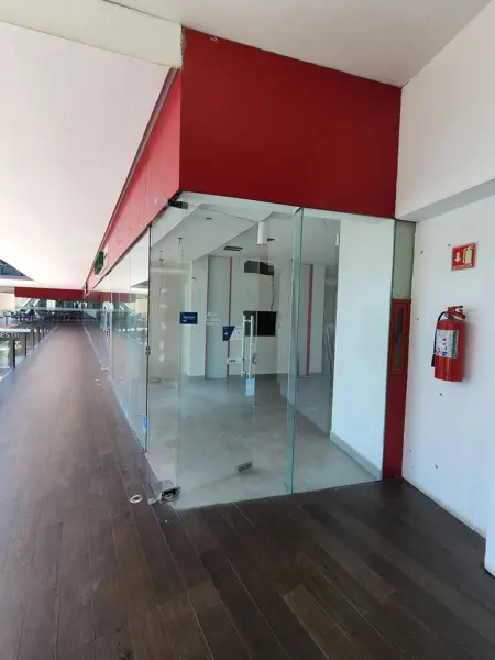 Local Comercial en Renta - SPGG (mtto e iva incluido)