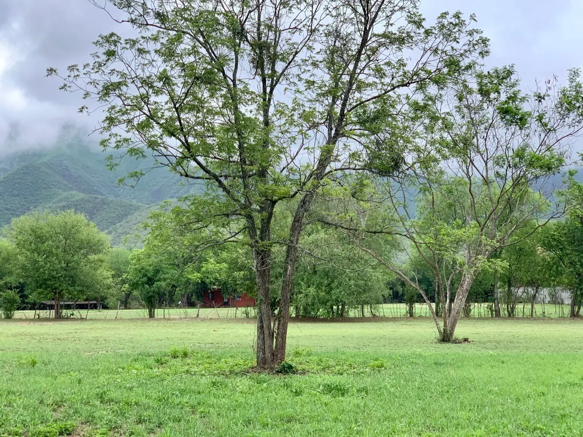 Terreno en venta en Huajuquito o los Cavazos, Santiago — foto 1 de 12