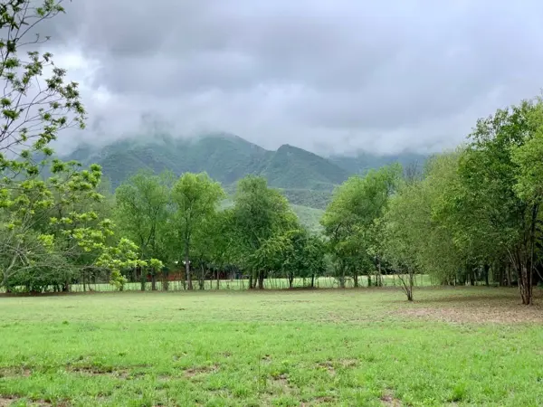 Terreno en venta en Huajuquito o los Cavazos, Santiago — foto 2 de 12