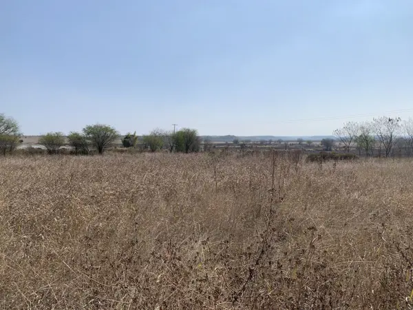 Terreno en venta en El Fraile, Montemorelos — foto 2 de 8