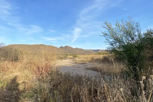 Terreno en venta en General Cepeda, General Cepeda — foto 3 de 5