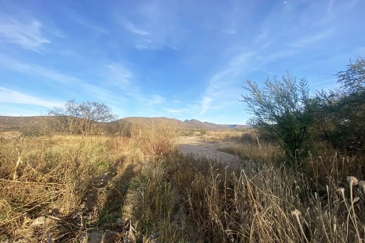 Terreno en venta en General Cepeda, General Cepeda — foto 1 de 5