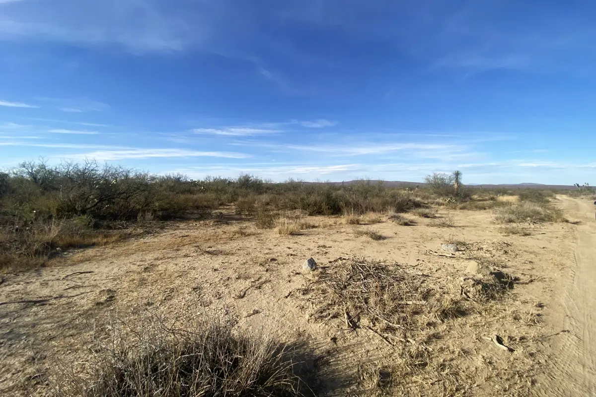 Terreno en venta en General Cepeda, General Cepeda — foto 1 de 10