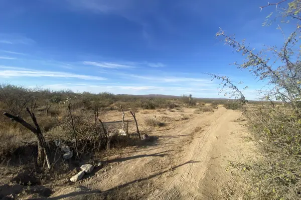 Terreno en venta en General Cepeda, General Cepeda — foto 3 de 10
