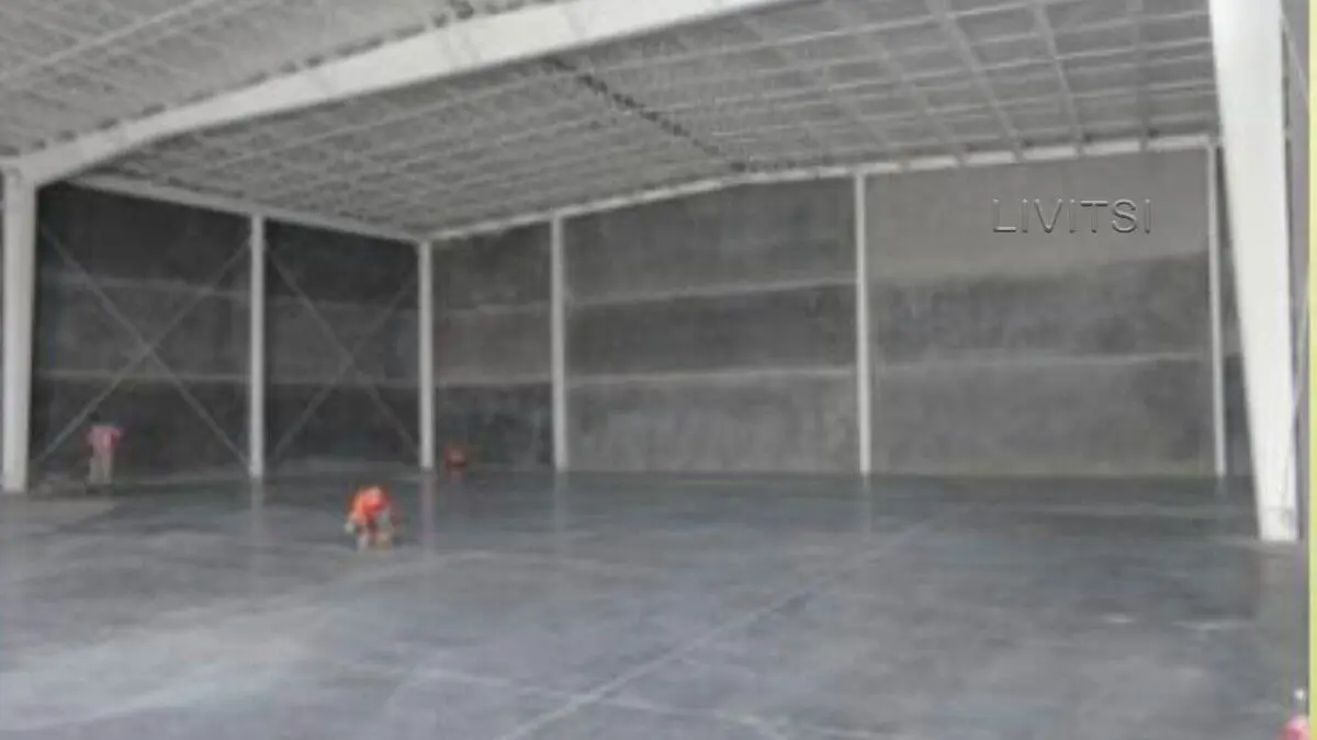 Nave en renta en Alianza, Ciénega de Flores — foto 1 de 4
