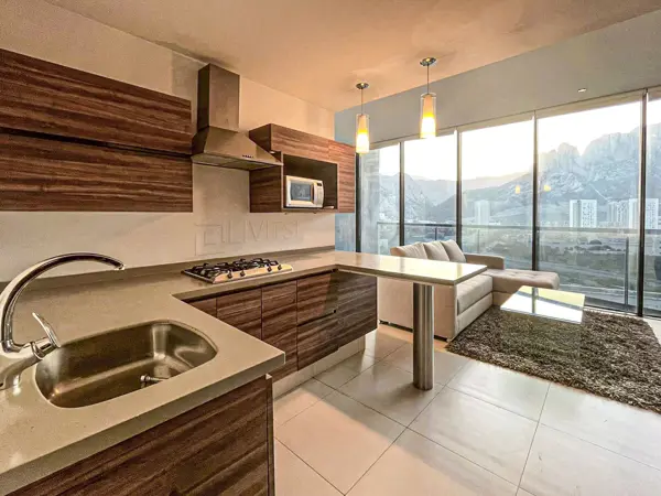 Departamento en renta en Privada Valle Poniente, Santa Catarina — foto 3 de 8