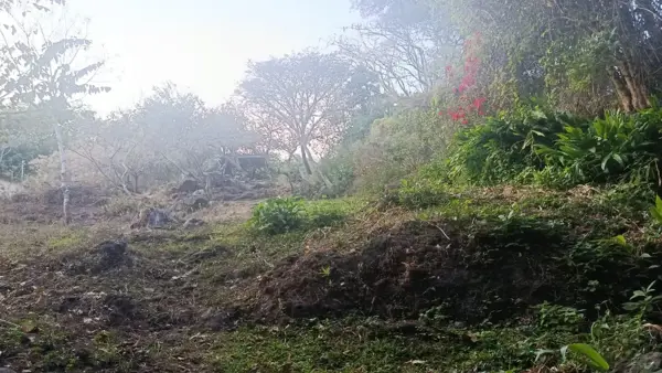 Terreno en venta en Santa María, Malinalco — foto 2 de 7