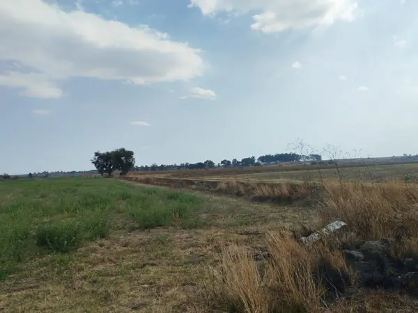 Terreno en venta en Huejotzingo Centro, Huejotzingo — foto 2 de 4