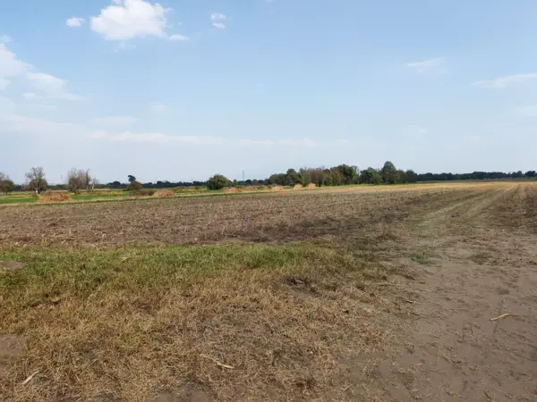 Terreno en venta en Santa Ana Xalmimilulco, Huejotzingo — foto 3 de 7