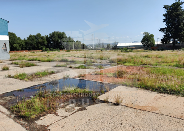 Terreno en venta en San Lucas Atoyatenco, San Martín Texmelucan — foto 3 de 5