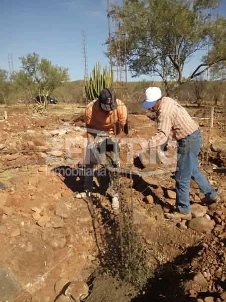 Terreno en venta en Agua Caliente (Fraccionamiento), Cajeme — foto 2 de 18