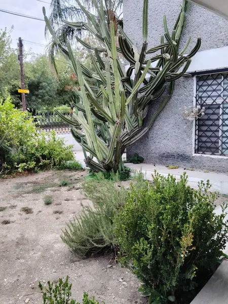 Casa en venta en Burocratas Federales, Monterrey — foto 2 de 15