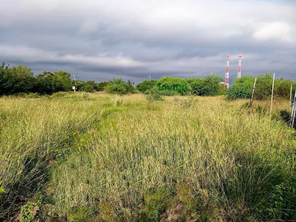 Terreno en venta en Parque Industrial Pro Park, Pesquería — foto 3 de 9