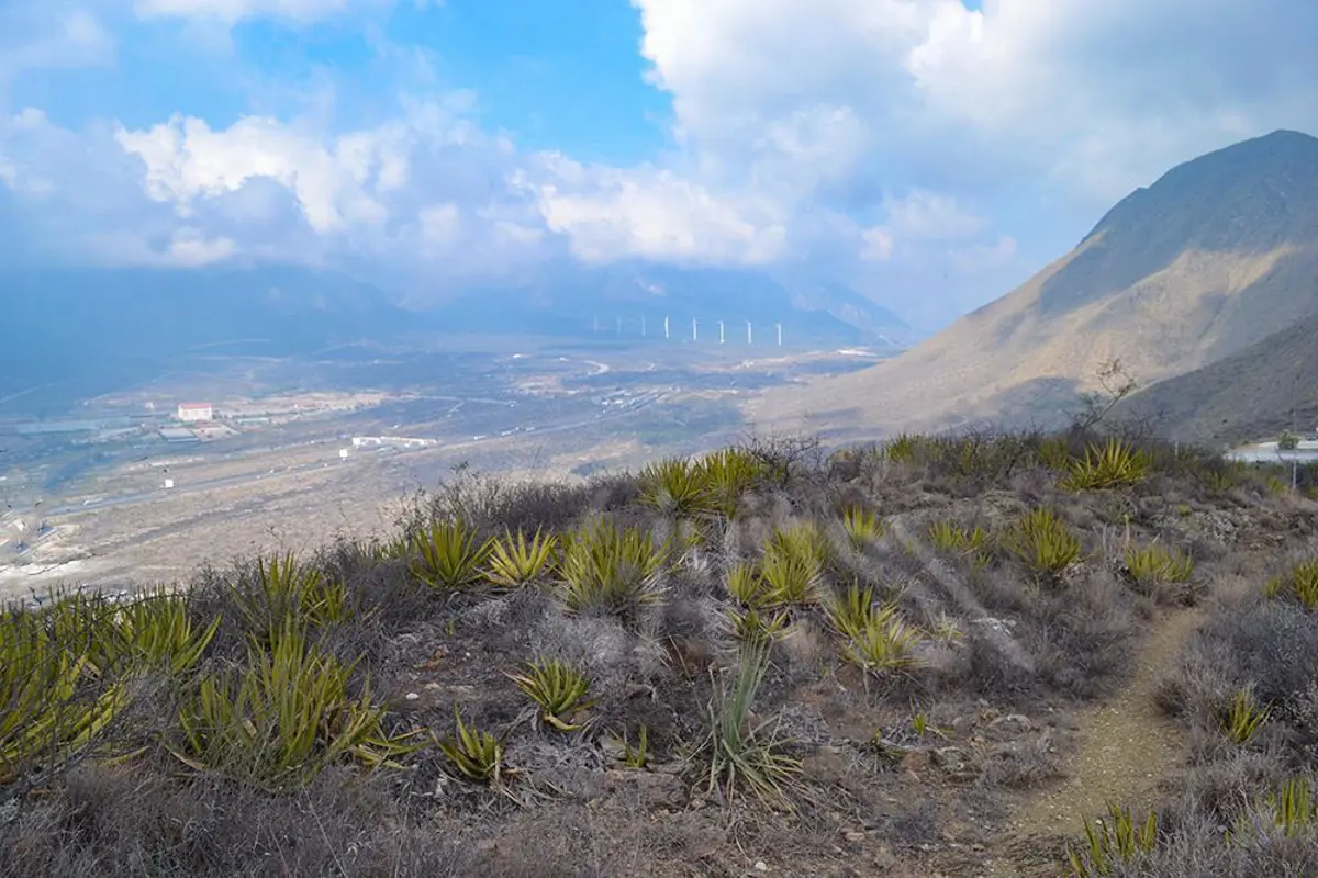 Terreno en venta en Rinconada, García — foto 1 de 15