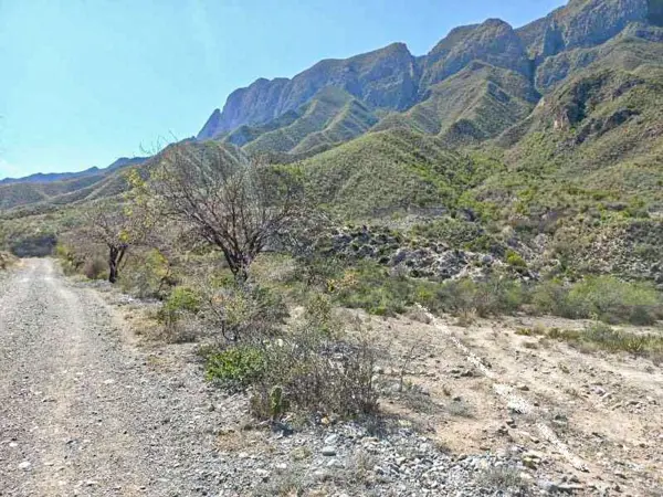 Terreno en venta en Rayones, Rayones — foto 3 de 7