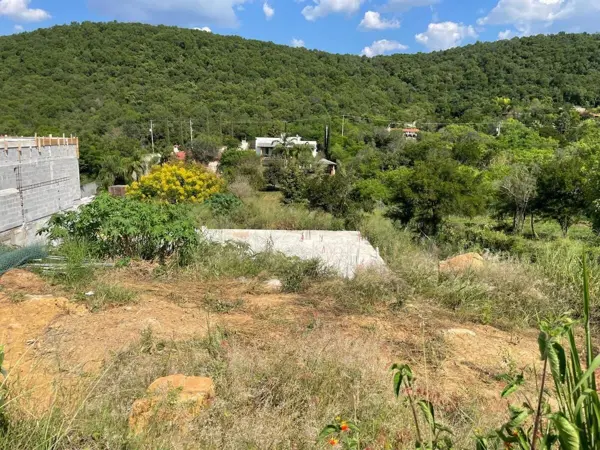 Terreno en venta en Bernardo Flores, Allende — foto 3 de 6