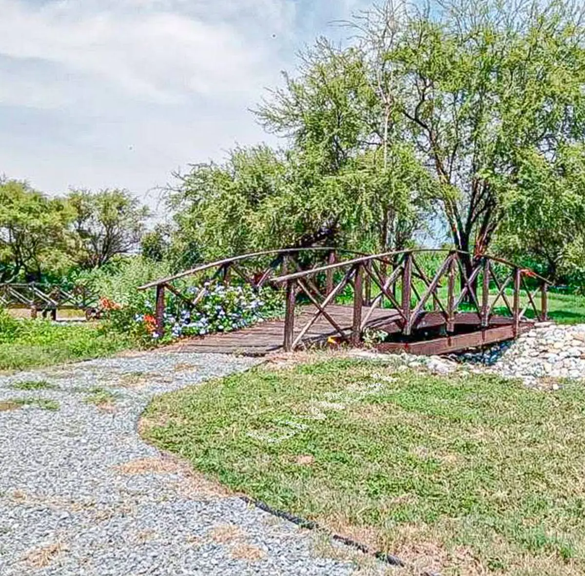 Terreno en venta en Campestre Bosque Real, Montemorelos — foto 1 de 13