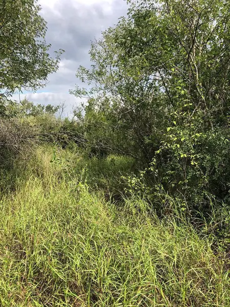 Terreno en venta en Marín, Marín — foto 3 de 7
