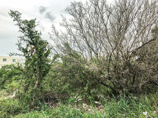 Terreno en venta en Rinconada Colonial, Apodaca — foto 2 de 7