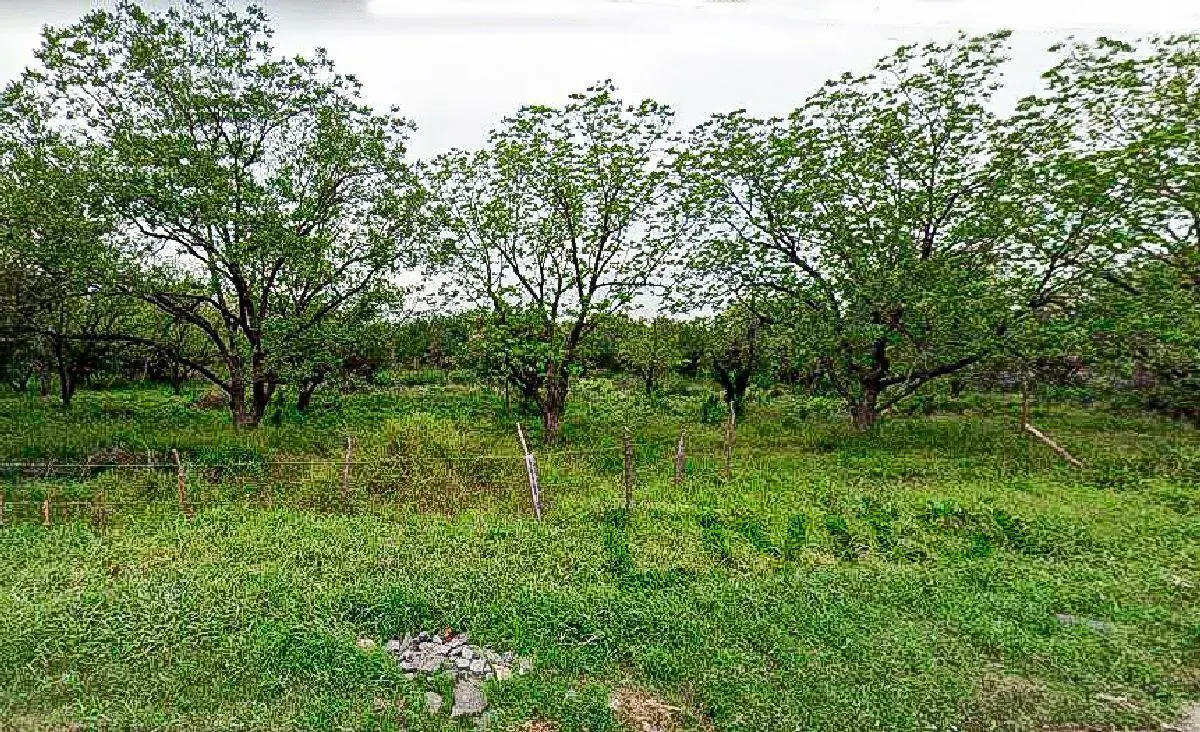Terreno en venta en Nueva Castilla, General Escobedo — foto 1 de 4