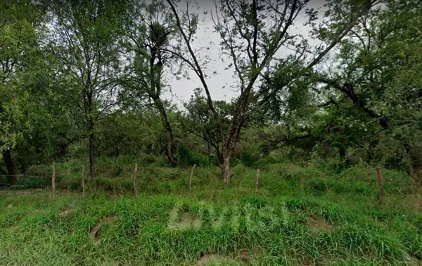 Terreno en venta en Nueva Castilla, General Escobedo — foto 3 de 4