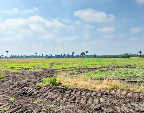 Terreno en venta en Cadereyta Jimenez Centro, Cadereyta Jiménez — foto 3 de 4