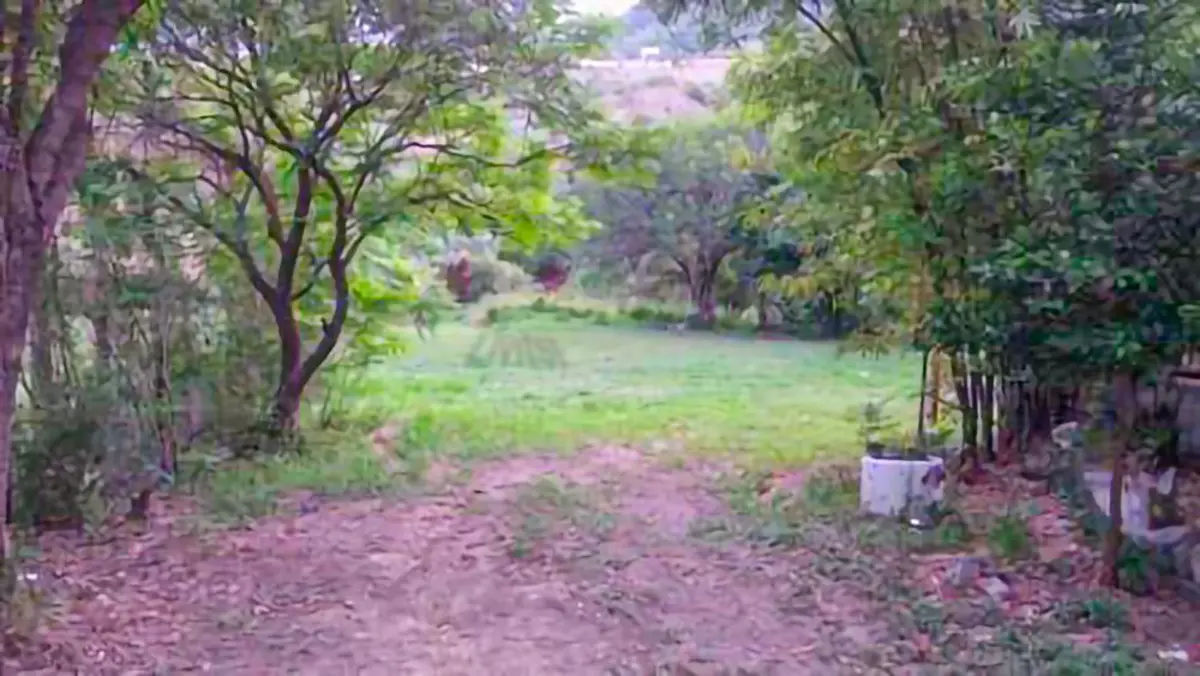 Terreno en venta en El Pinito, Monterrey — foto 1 de 7
