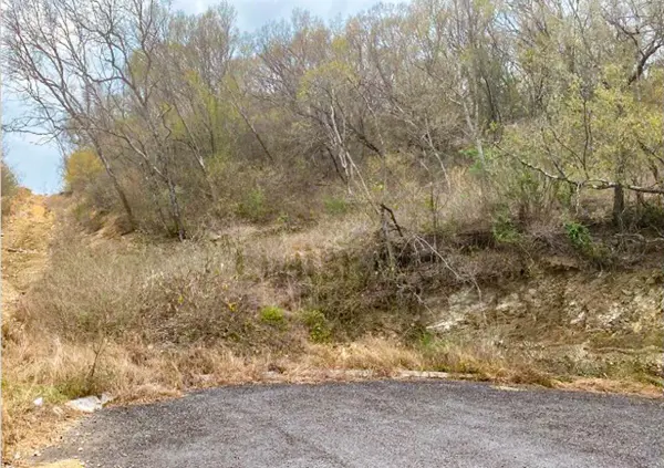 Terreno en venta en Montemorelos Centro, Montemorelos — foto 3 de 3