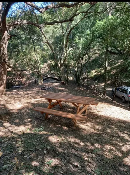 Terreno en venta en Montemorelos Centro, Montemorelos — foto 3 de 9