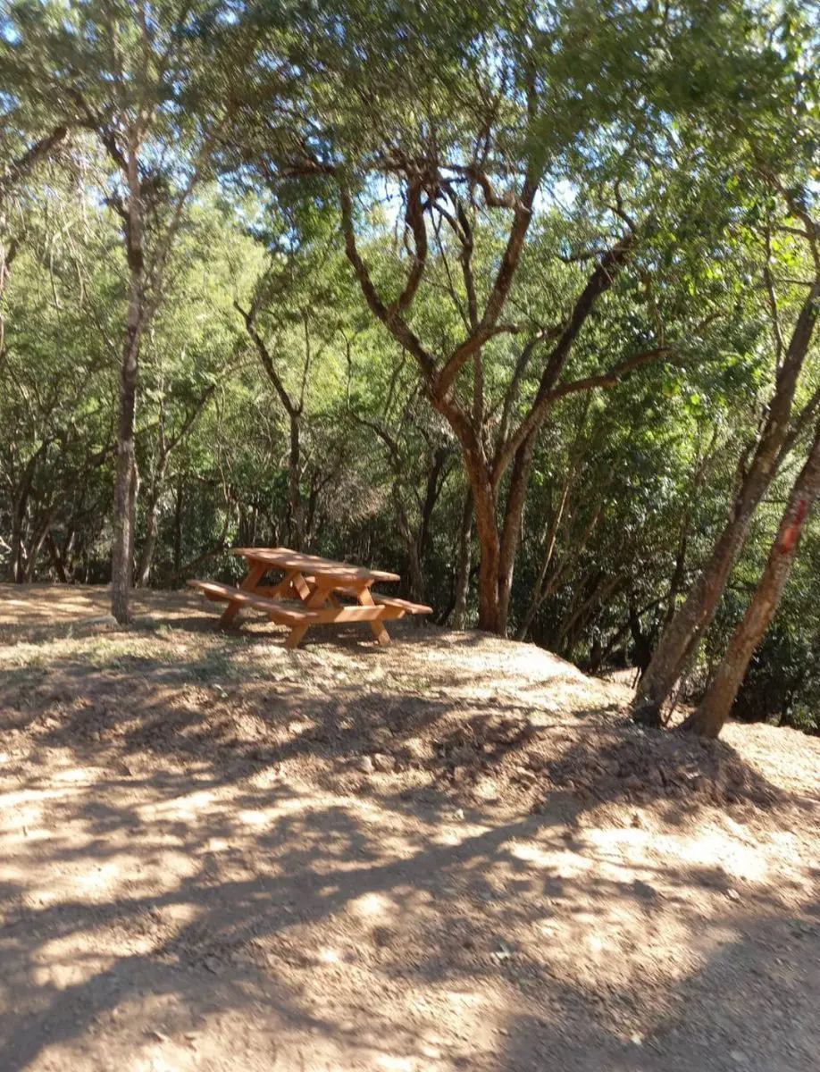 Terreno en venta en Montemorelos Centro, Montemorelos — foto 1 de 9