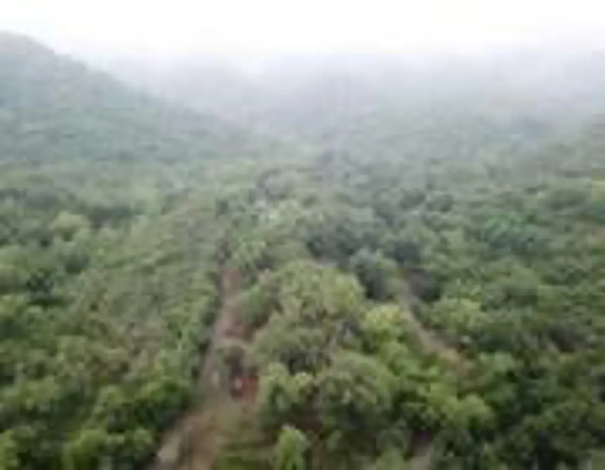 Terreno en venta en La Colmena, Allende