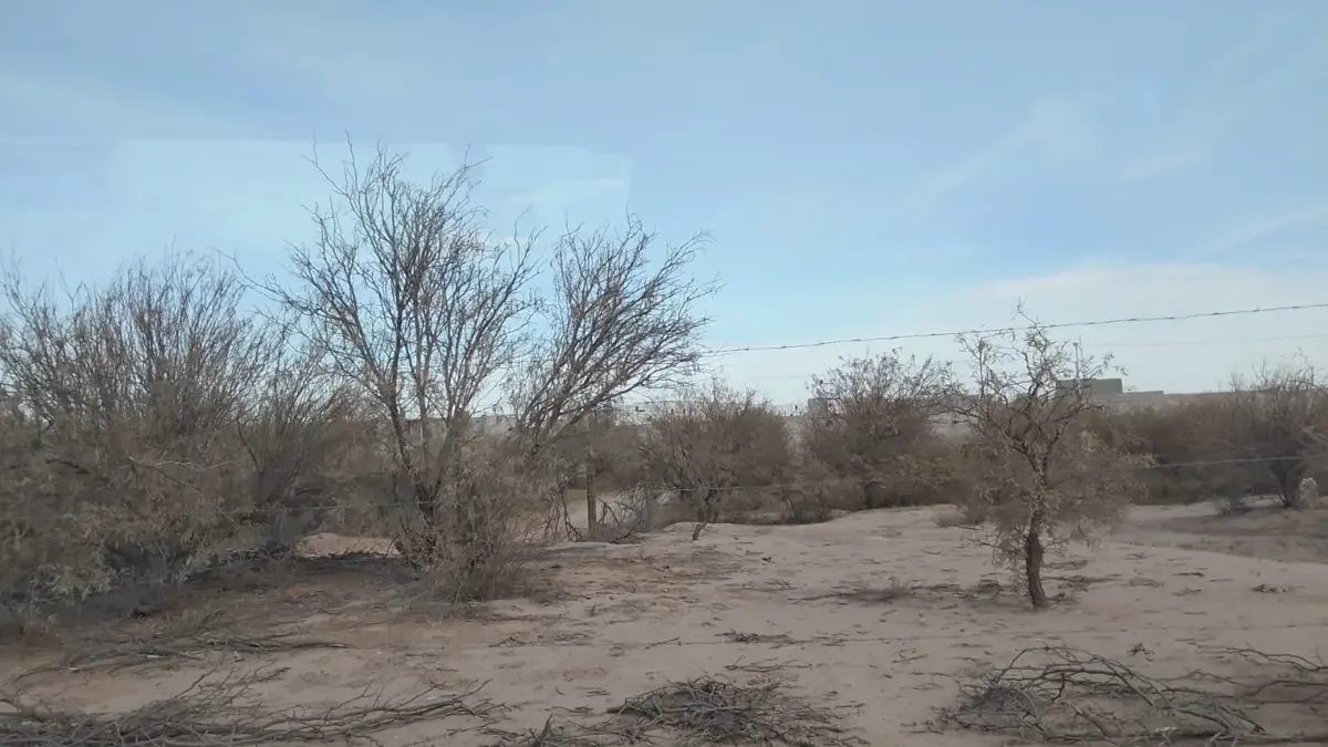 Vista 2 de Terreno en Venta en San Luis, Torreón, Coahuila de Zaragoza