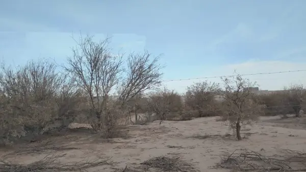 Terreno en venta en San Luis, Torreón — foto 2 de 10