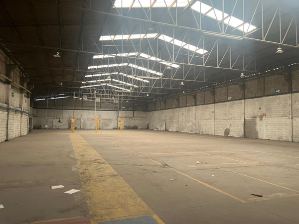 Bodega en renta en Parque Industrial Oriente, Torreón — foto 3 de 6