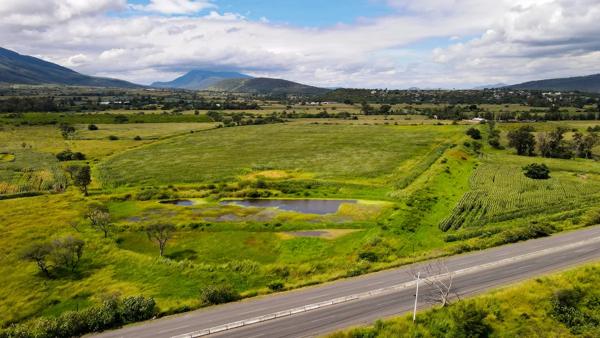 Terreno en venta en Buenavista, Ixtlahuacán de los Membrillos — foto 2 de 6