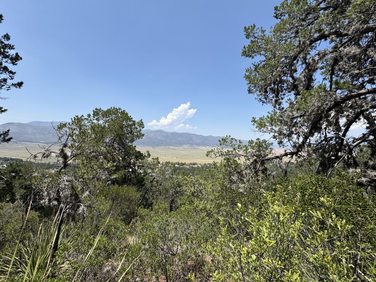 Terreno en venta en Campestre San Antonio, Arteaga — foto 1 de 5