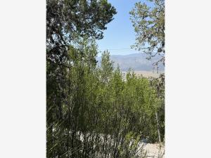 Terreno en venta en Campestre San Antonio, Arteaga — foto 3 de 5