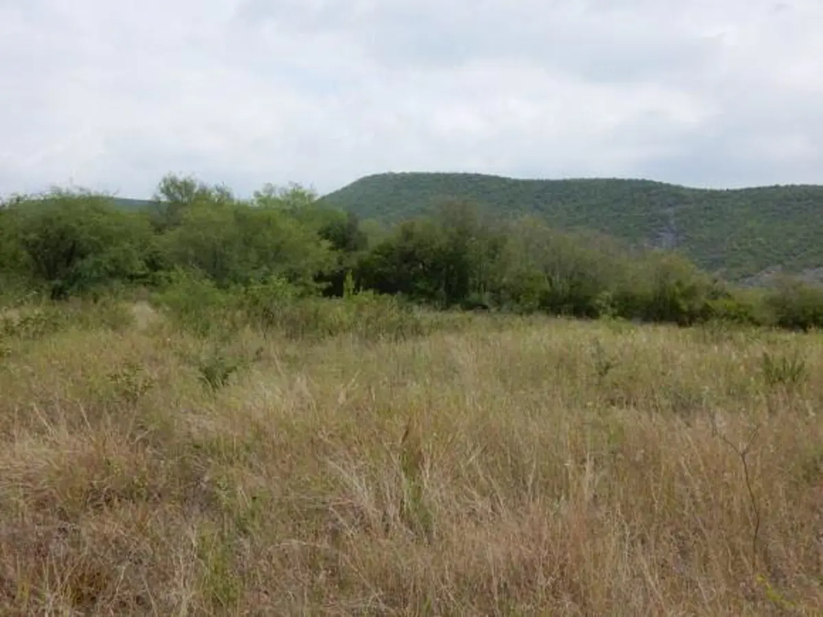 Terreno en venta en Montemorelos Centro, Montemorelos — foto 1 de 23