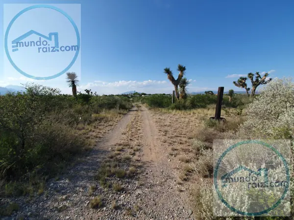 TERRENO VENTA LOS VILLARREALES SALINAS VICTORIA