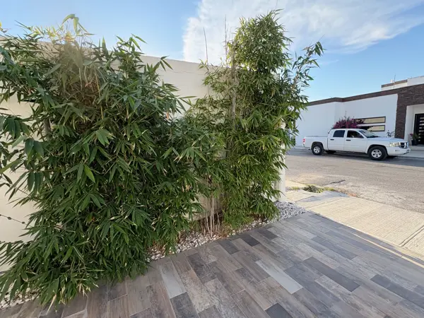 Casa en venta en Las Canteras Residencial, Piedras Negras — foto 2 de 18