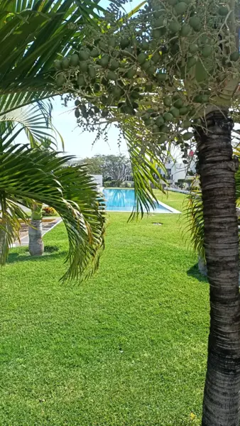 Casa en venta en Solares, Xochitepec — foto 3 de 12