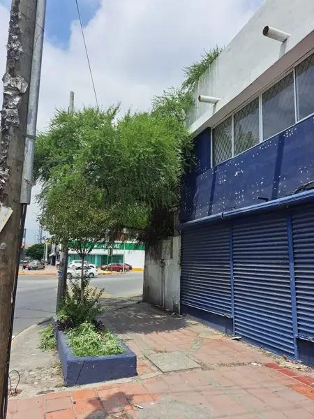 Local en renta en Treviño, Monterrey — foto 2 de 23