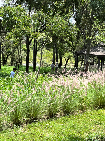 Terreno en venta en Valle Corregidora, Corregidora — foto 3 de 17