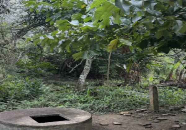 TERRENO DE ENTREGA INMEDIATA EN AV. PALO BLANCO SAN FERNANDO CHIAPAS