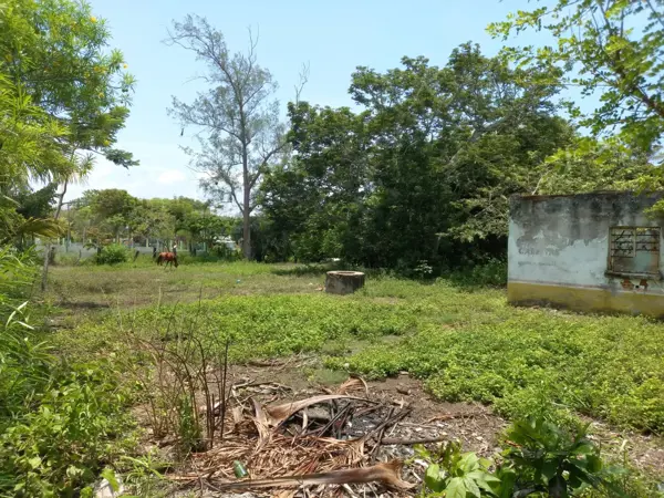 Terreno 2013m2 en el Zapote, Alvarado, Veracruz Terreno 2013m2 en el Zapote, Alvarado, Veracruz