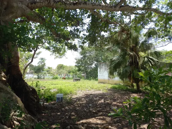 Terreno en venta en El Zapote, Alvarado — foto 3 de 8