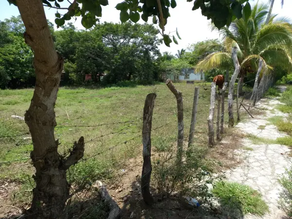 Terreno en venta en El Zapote, Alvarado — foto 2 de 8