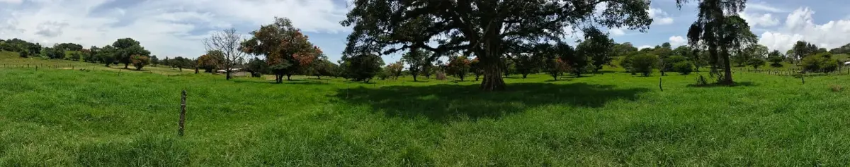Terreno en venta en Xico, Xico — foto 1 de 11