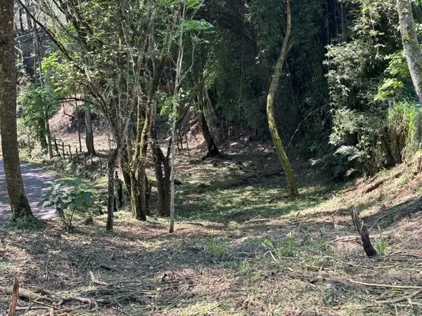 Terreno en venta en Rancho Viejo, Tlalnelhuayocan — foto 2 de 10