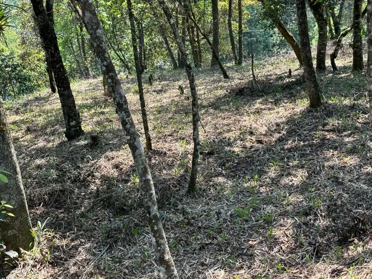 Terreno en venta en Rancho Viejo, Tlalnelhuayocan — foto 1 de 10